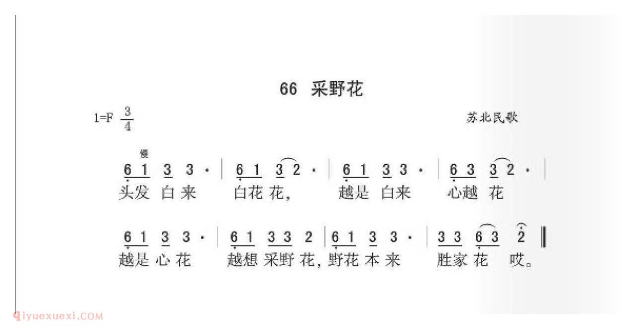 苏北民歌[采野花]简谱