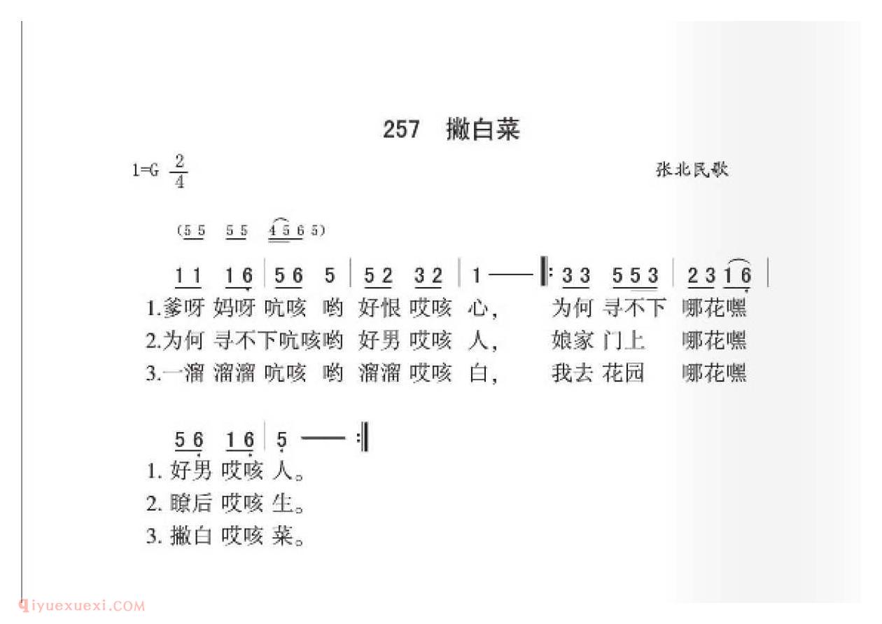 张北民歌[撇白菜]简谱