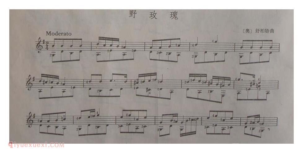 陈志古典吉他练习曲[野玫瑰][奥]舒柏特曲