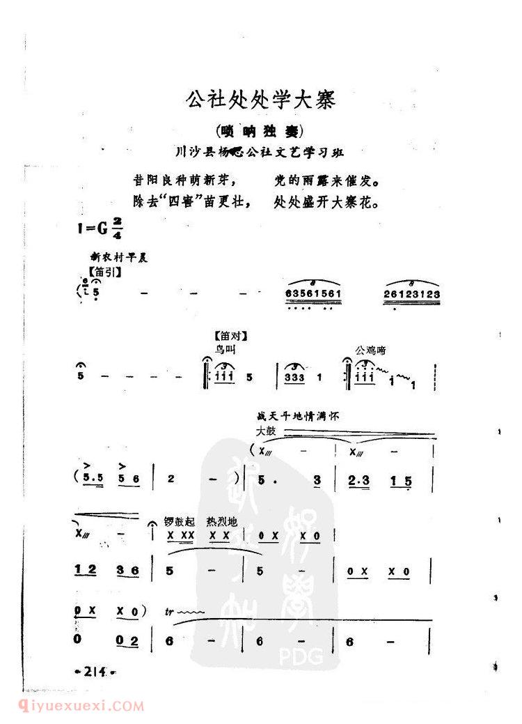 唢呐曲 <wbr>公社处处学大寨