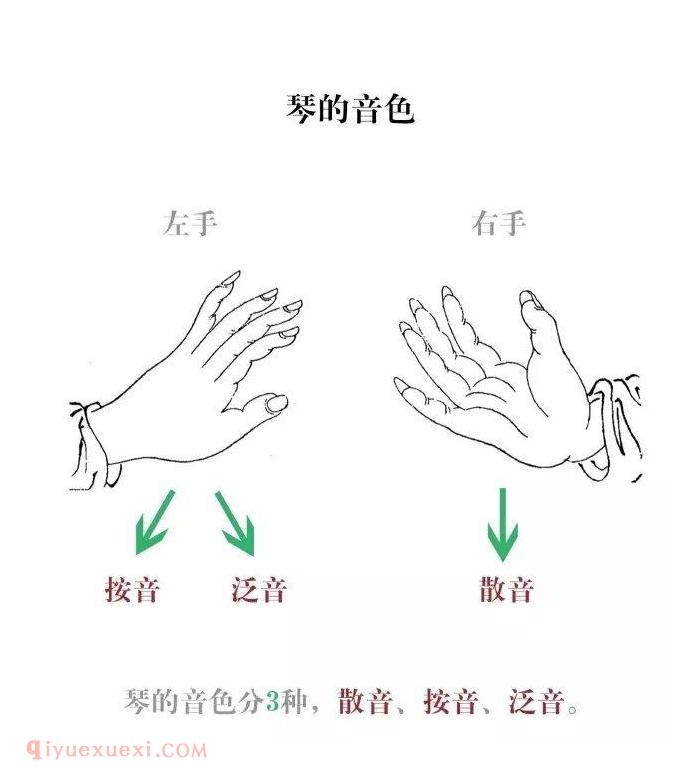 琴百科 <wbr>| <wbr>一张图带你了解音位谱字