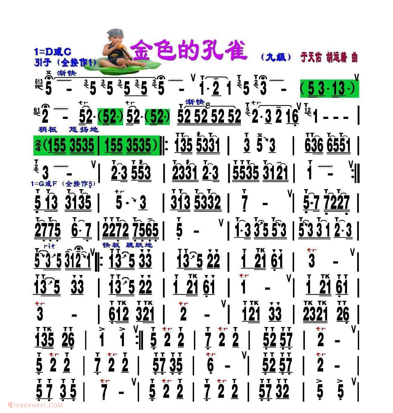 葫芦丝谱【金色的孔雀  刘慧淑制谱版】简谱