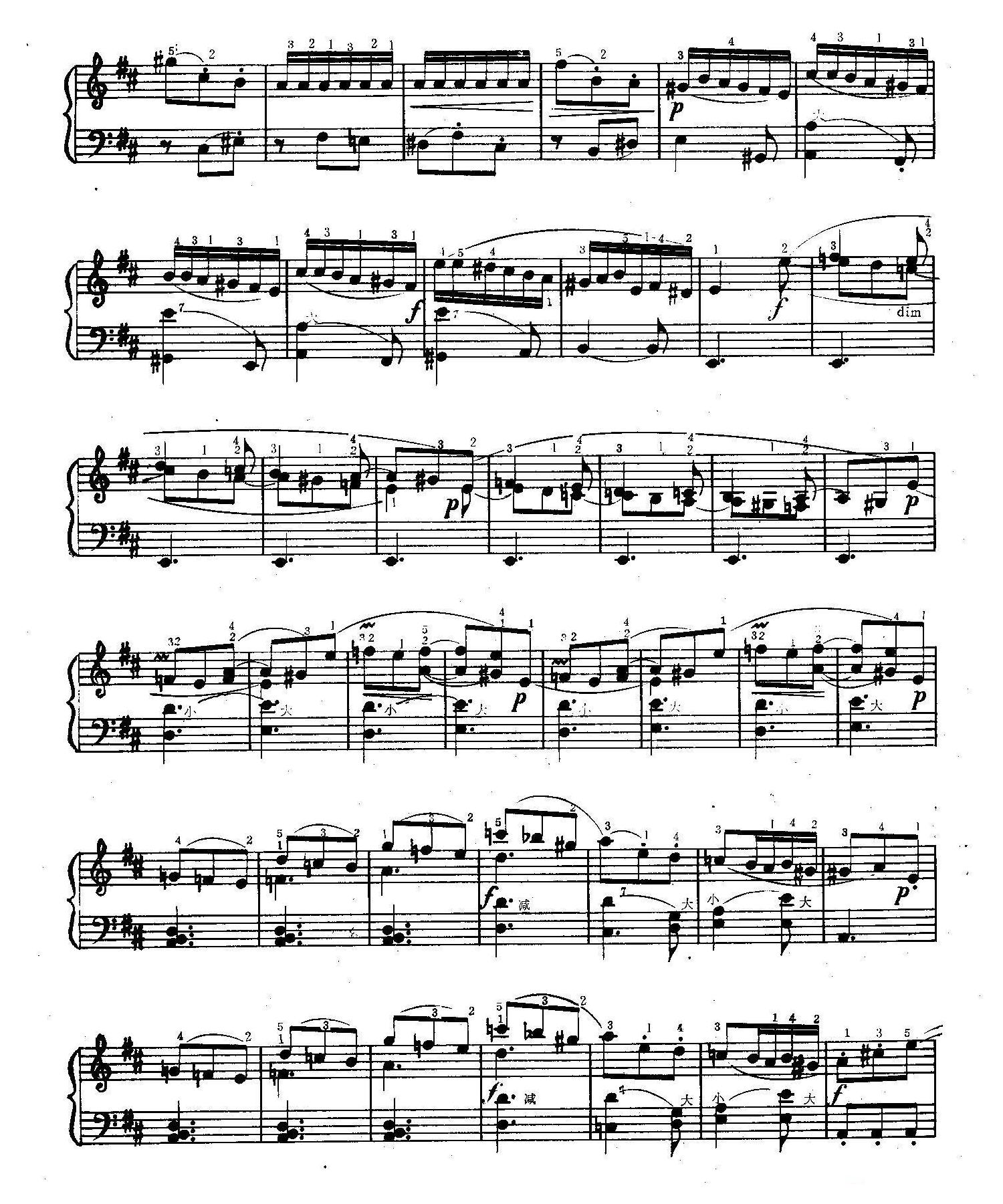 手风琴乐谱【D大调奏鸣曲】五线谱