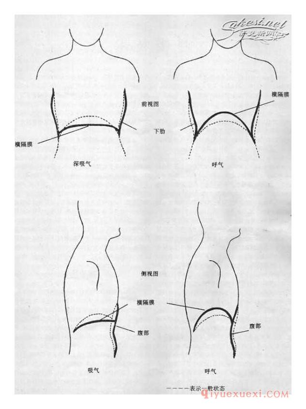 萨克斯呼吸技术-呼吸器官介绍