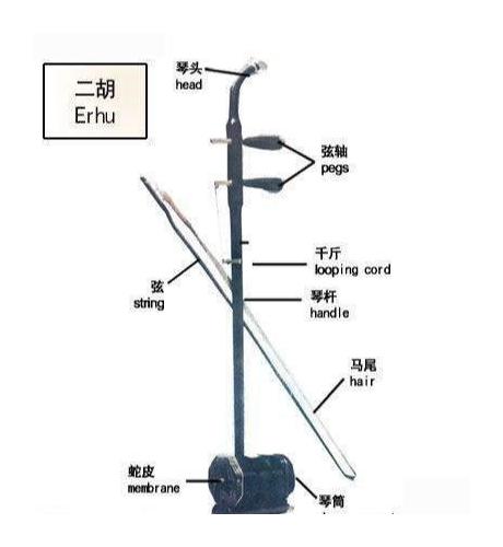 二胡的结构及其各部位的作用教学