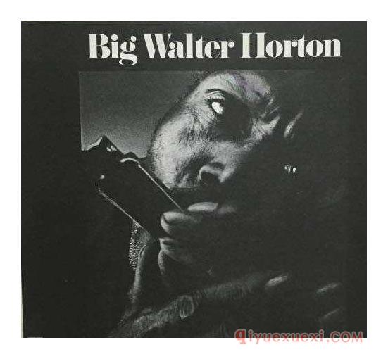 布鲁斯口琴的天才[Big Walter Horton]简介