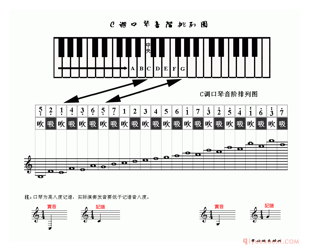 24孔口琴C调音阶排列图