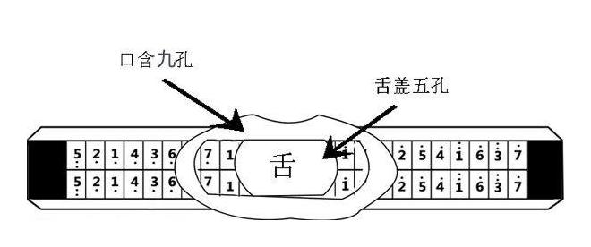 复音口琴和音奏法教学