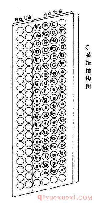 自由低音巴扬左右手键位排列教学