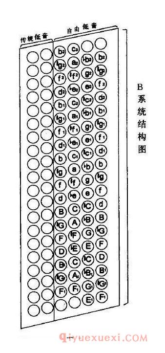 自由低音巴扬左右手键位排列教学