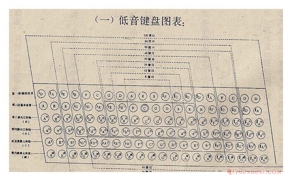 手风琴左手键盘介绍