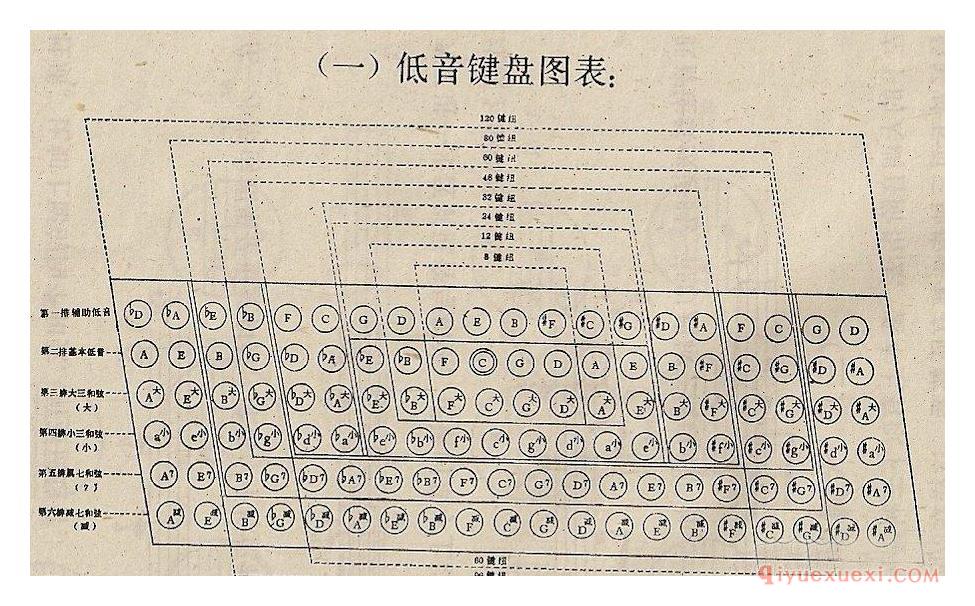 手风琴左手低音与和弦教学