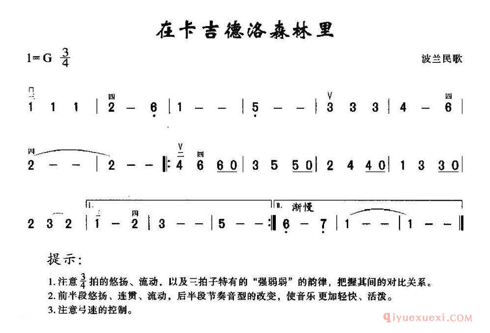 二胡简谱[在卡吉德洛森林里]