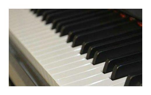 61键电子琴入门教程