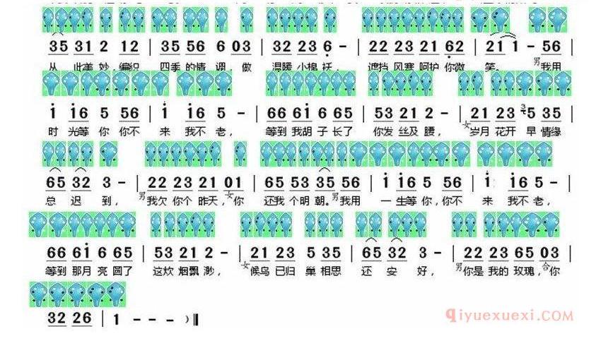 6孔陶笛谱子《你不来我不老》