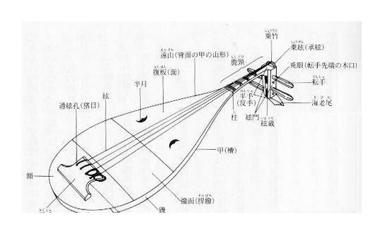 琵琶构造详解