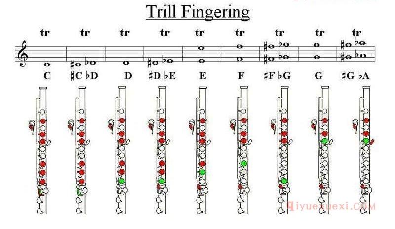 长笛指法图/Trill Fingering 