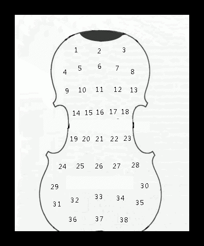 小提琴面板厚度尺寸图表