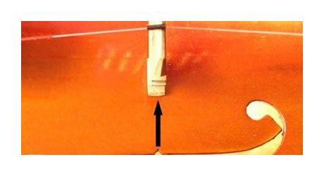 小提琴琴码的安装位置及琴弦的安装方法