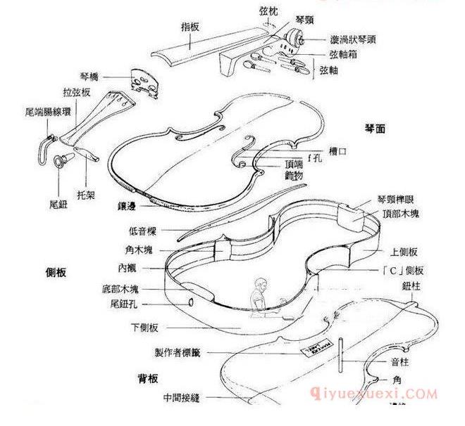 小提琴结构详细图