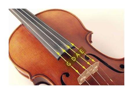 小提琴琴弦的构成