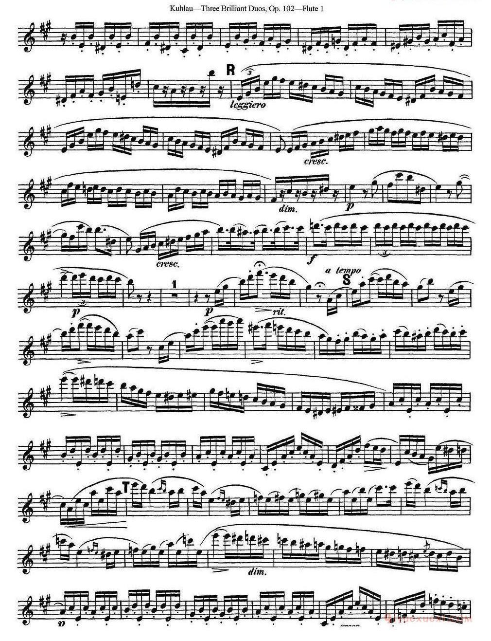 库劳长笛二重奏练习三段OP.102——Flute 1（NO.3）