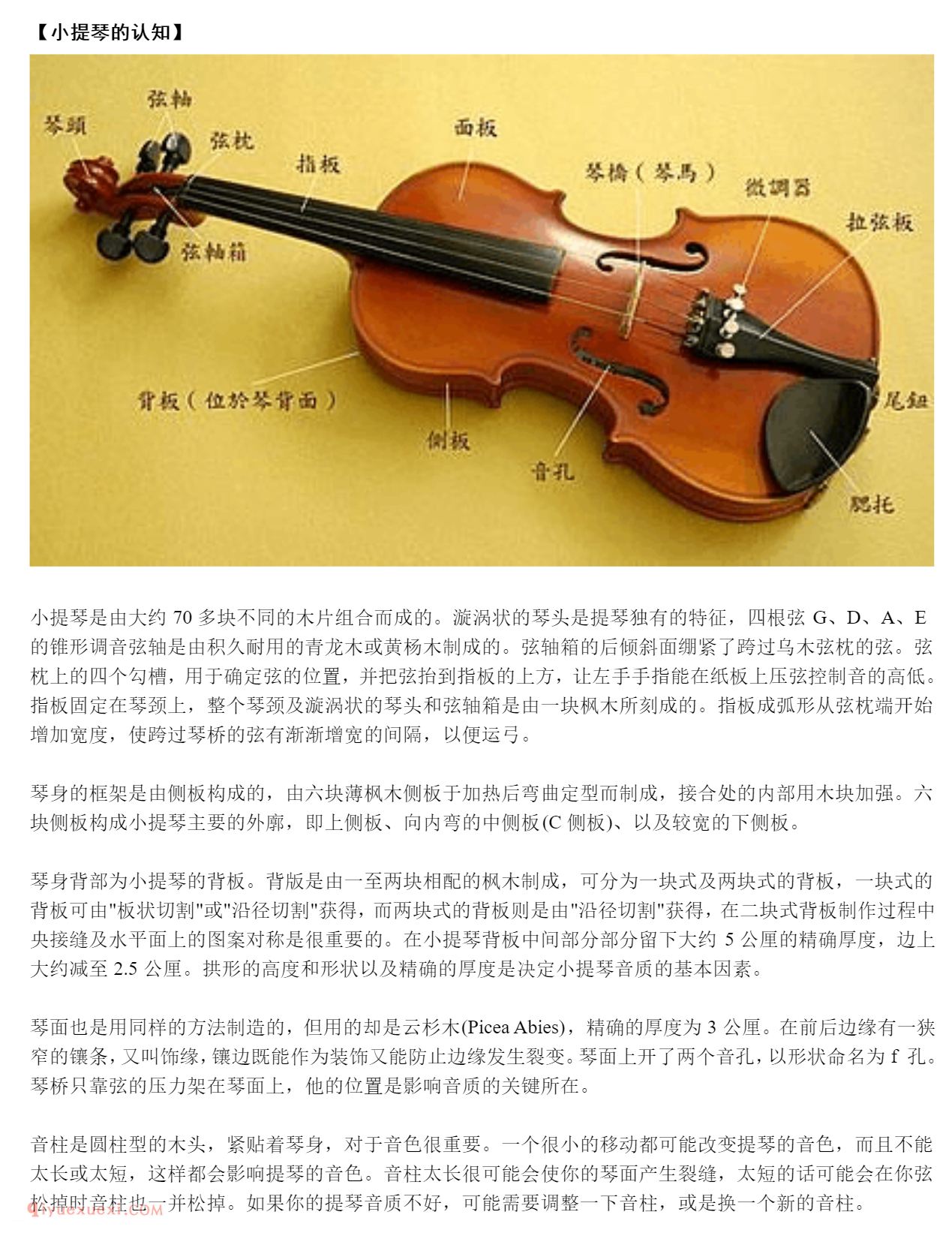 小提琴入门自学详细教程