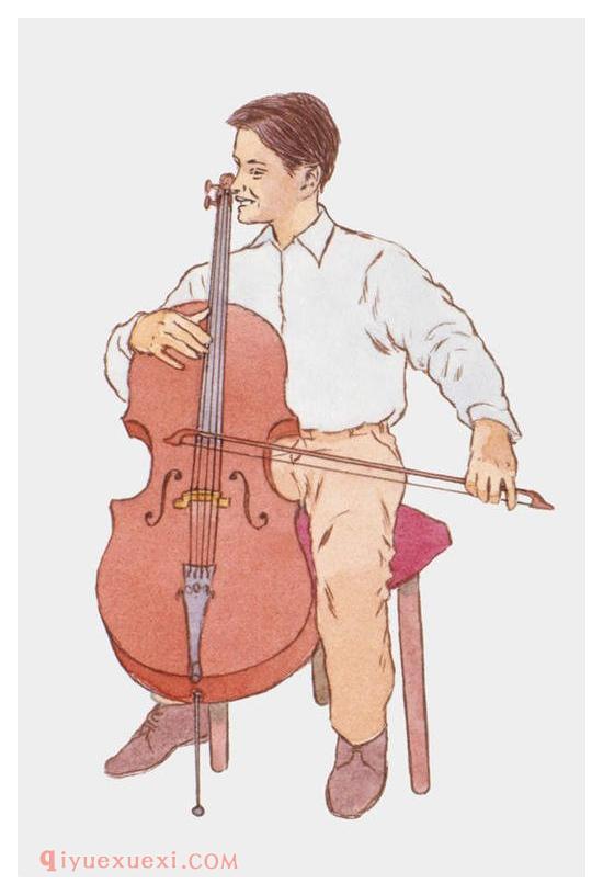 如何选购一把好的大提琴弓？