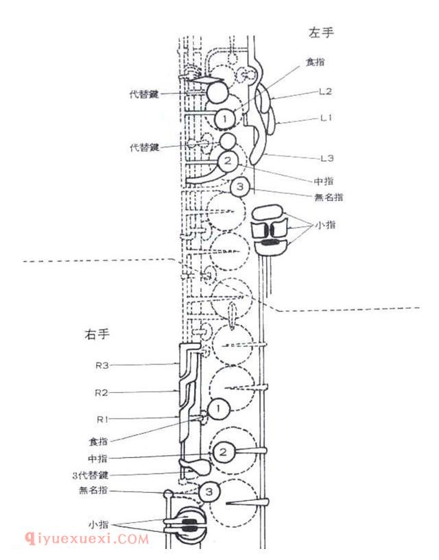 新手萨克斯怎么学？0基础3步快速萨克斯入门