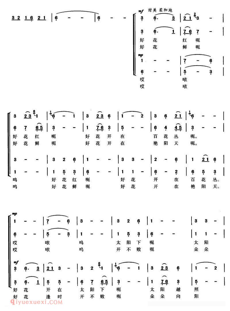 合唱谱[好花红/肖树文词 韩贵森编曲]简谱