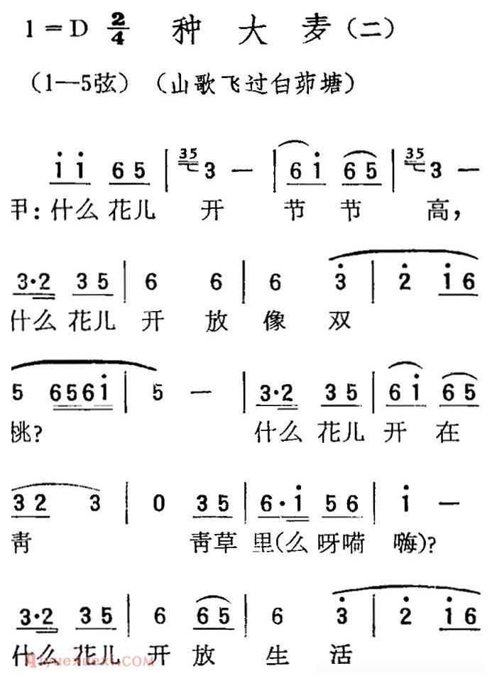 扬剧曲牌《种大麦 二/山歌飞过白茆塘》简谱