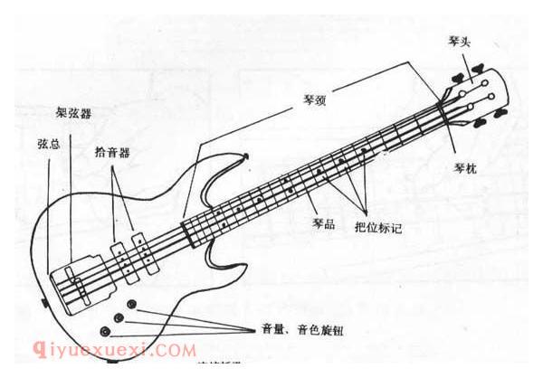 市面上五花八门贝司介绍 