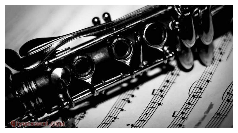 巴松管是双簧乐器吗？