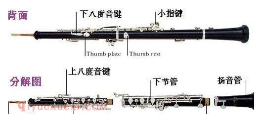 双簧管的结构组成教学