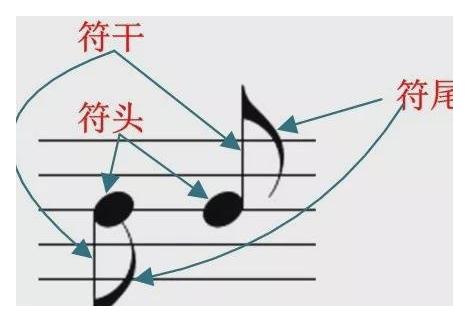 音符结构