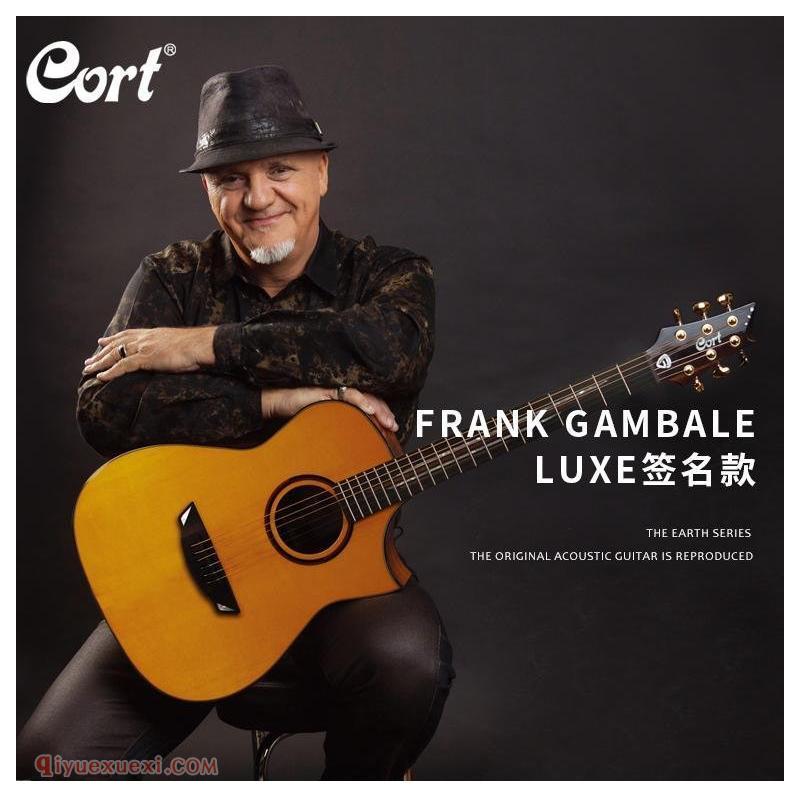 吉他手《Frank Gambale》简介