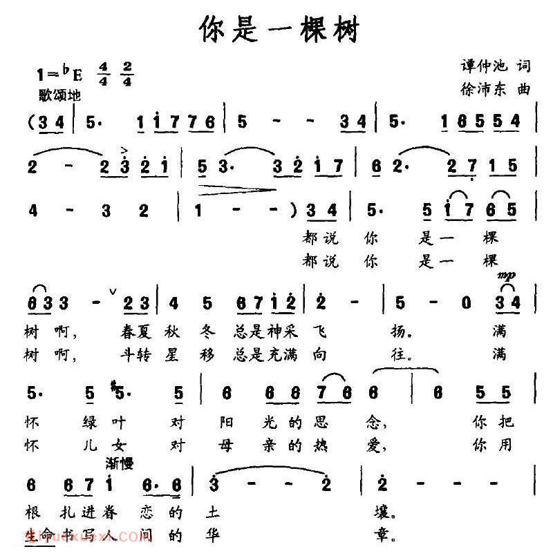 美声歌曲谱 | 你是一棵树