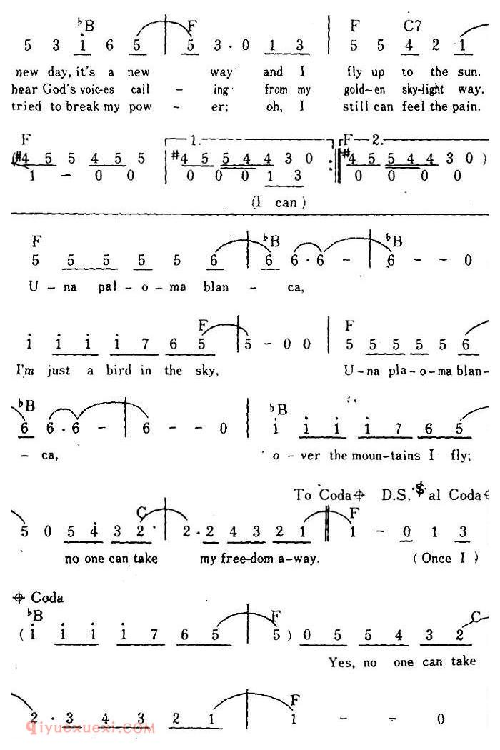 简谱《Paloma Blanca/白兰鸽、带和弦》美国