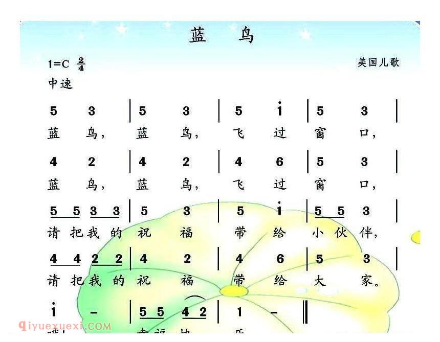 美国 | 蓝鸟 | 简谱