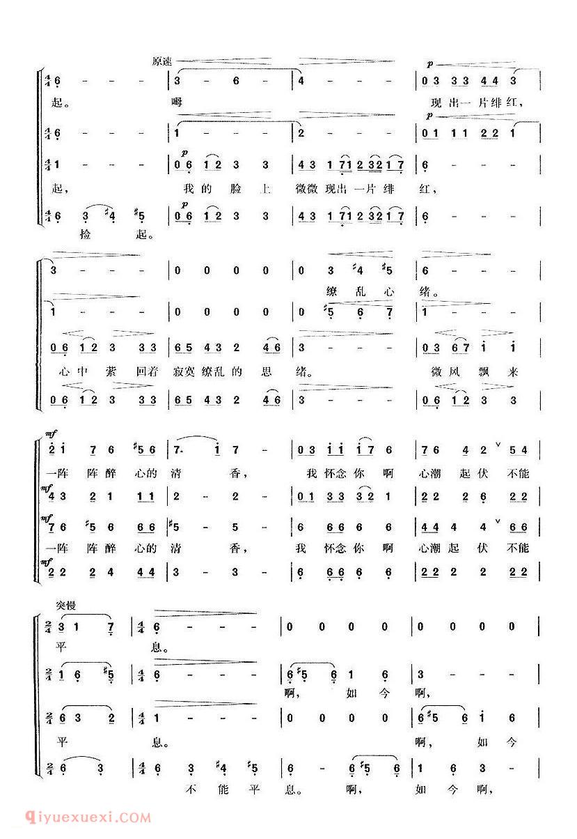 樱花贝之歌 | 日本