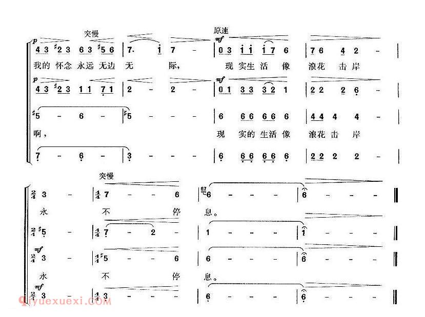 樱花贝之歌 | 日本