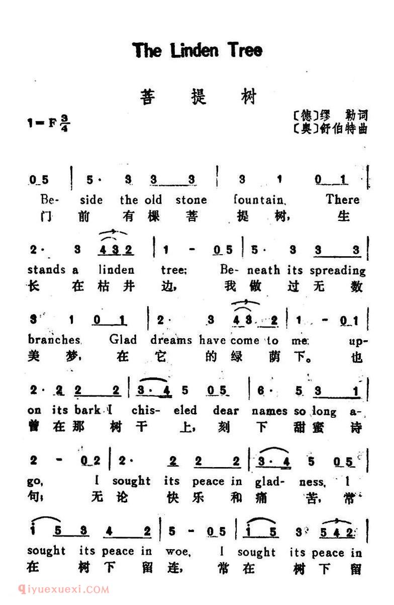 菩提树 The Linden Tree | 奥地利