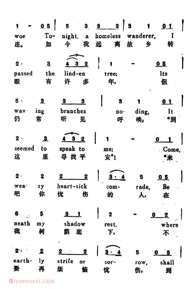 菩提树 The Linden Tree | 奥地利