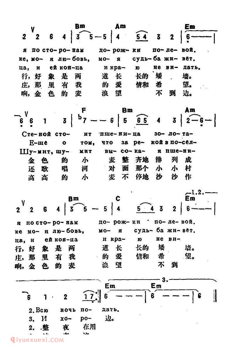 金色的小麦 | 前苏联
