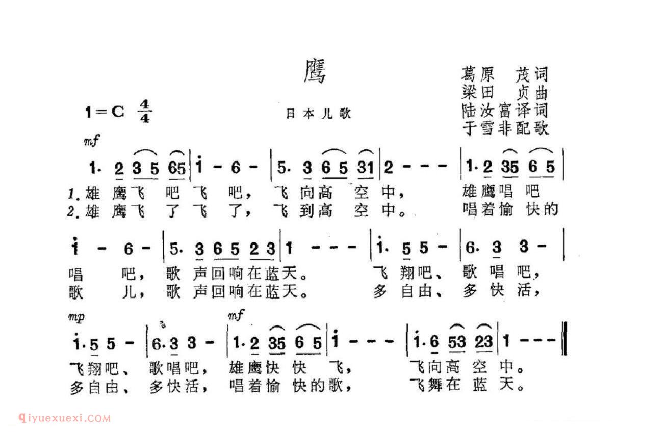 鹰 | 日本