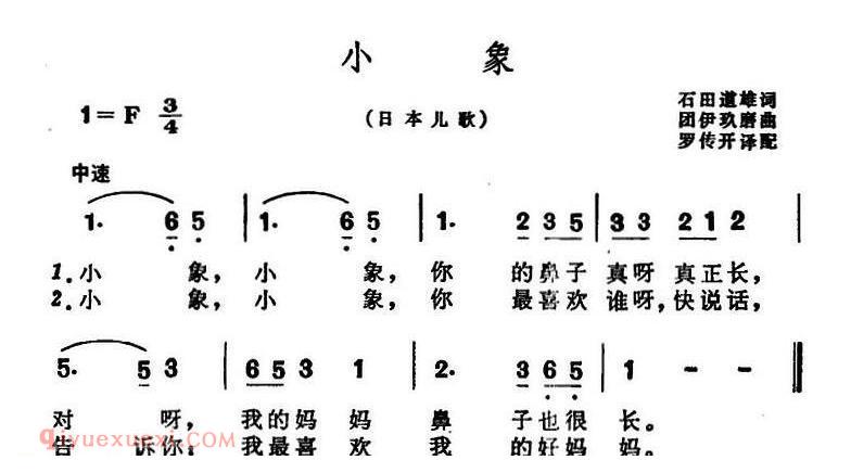 小象 | 日本