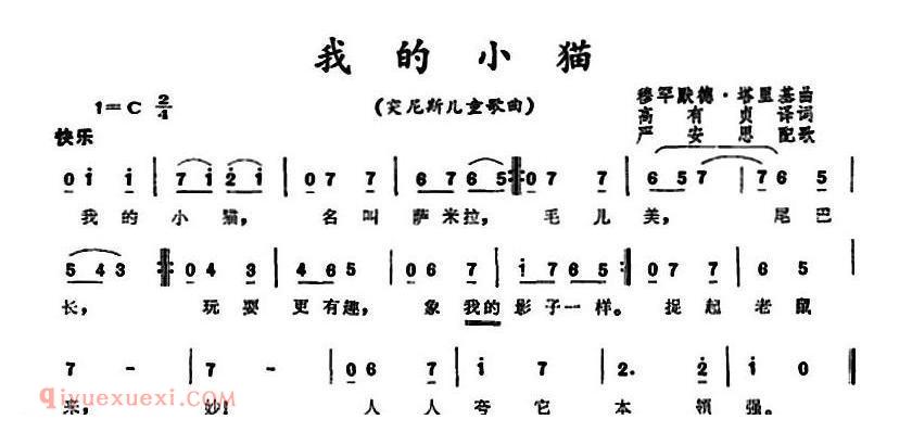 我的小猫 | 突尼斯