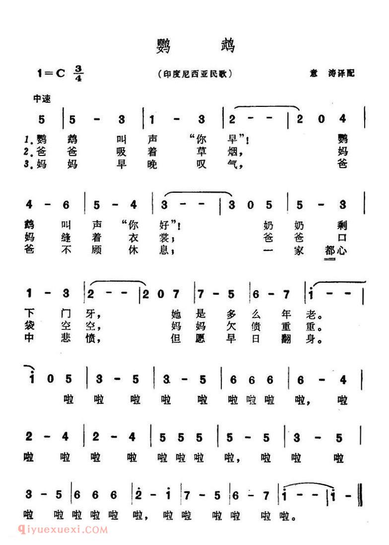 鹦鹉 | 印度尼西亚