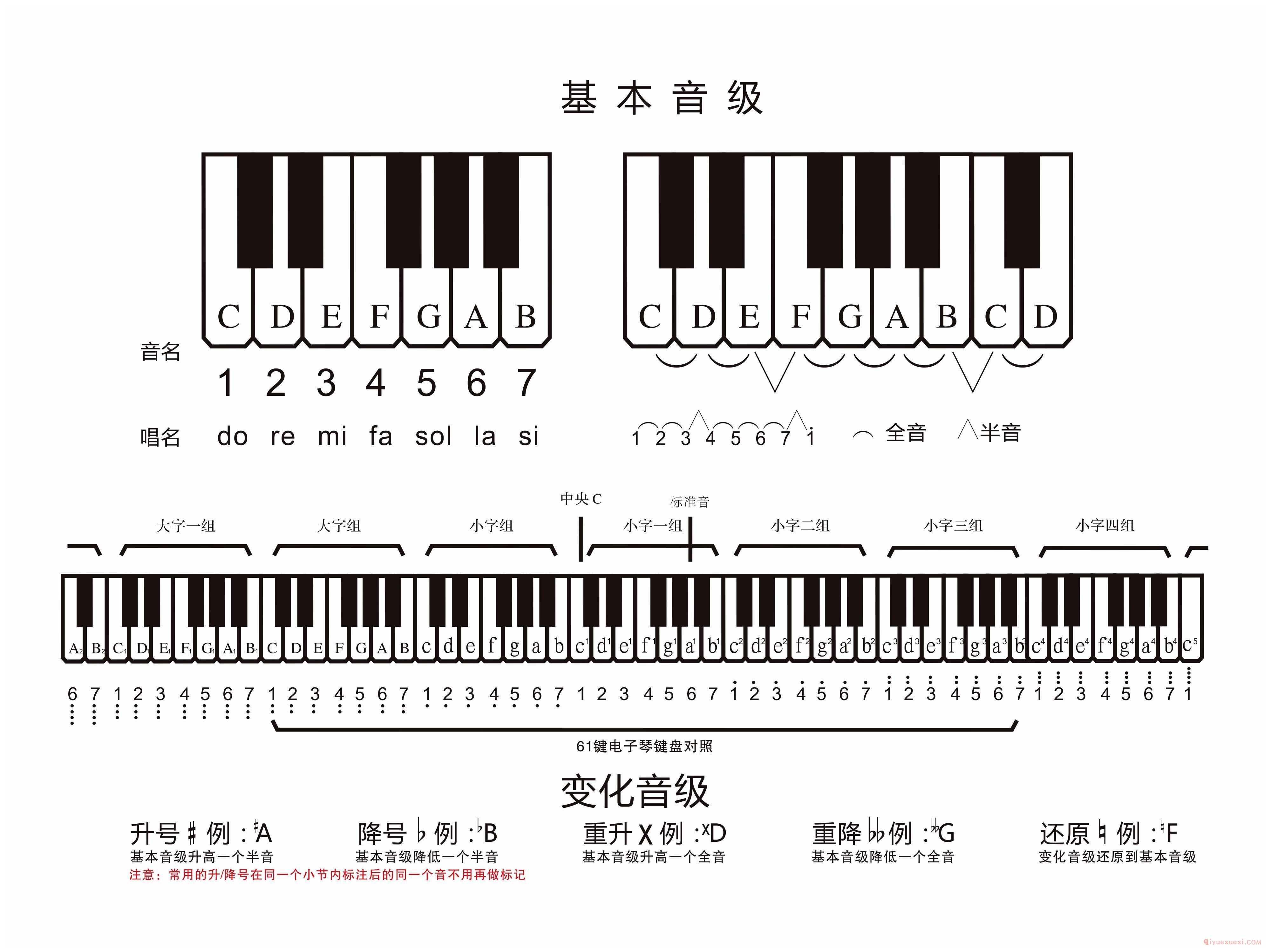 基本音级与变化单级