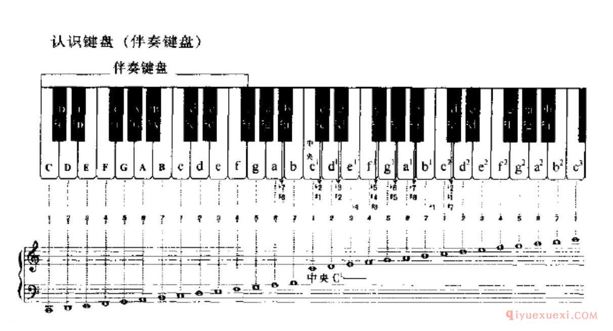 电子琴单指和弦伴奏 伴奏键盘